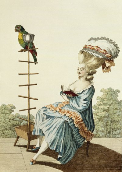 Jeune femme lisant en robe de jour avec une coiffure élaborée et un bonnet, planche 20 de 